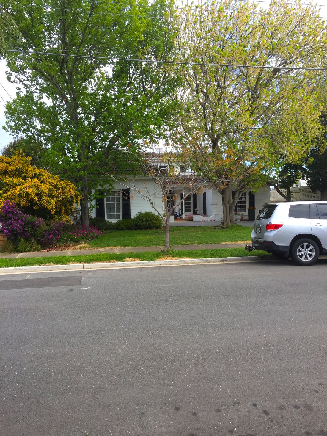 A house in suburban Adelaide