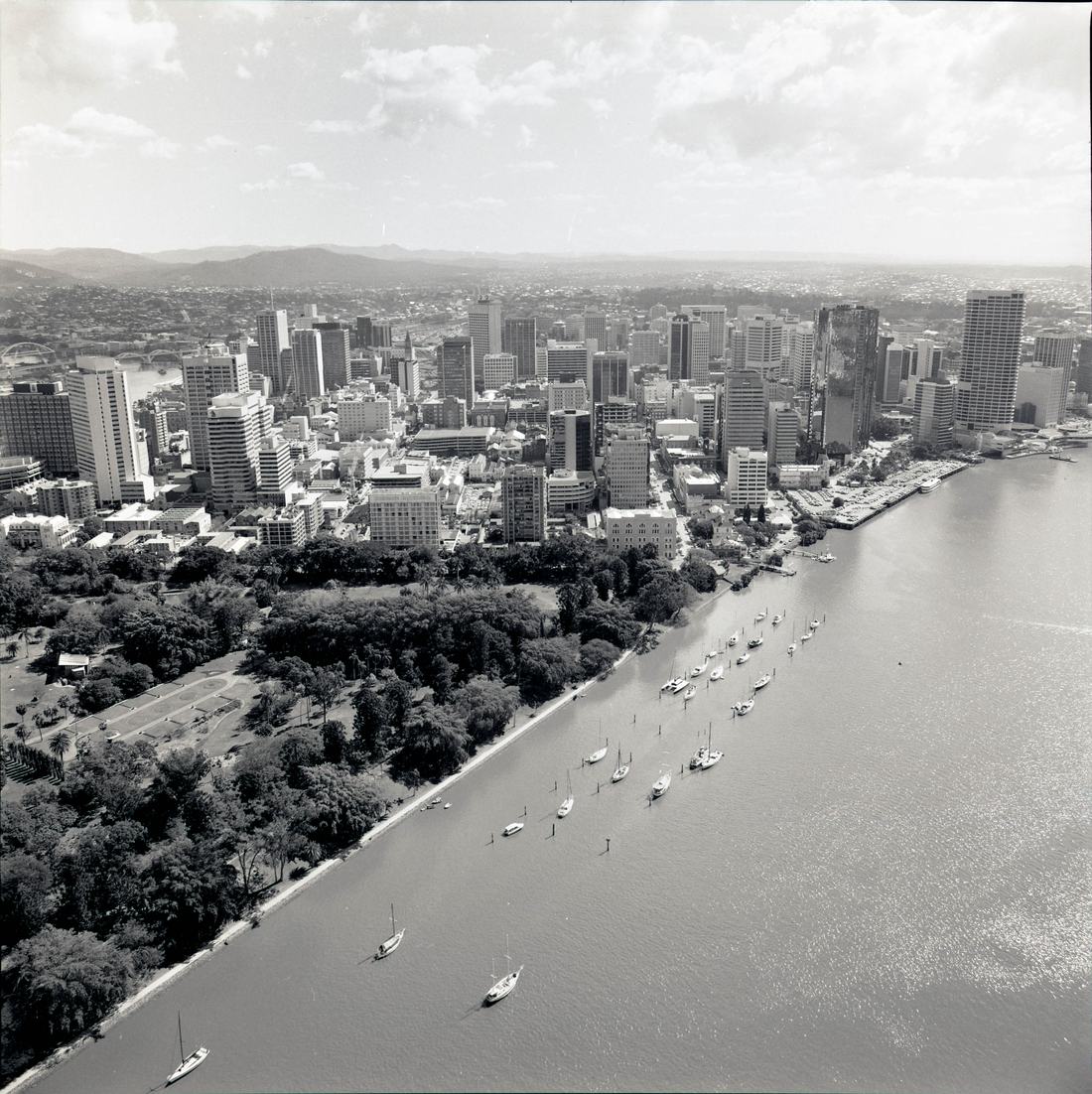 The Brisbane River and Botanic Gardens