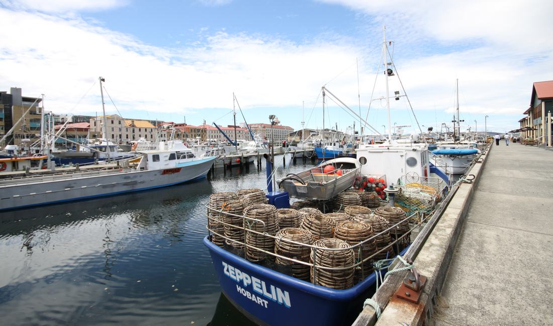 The Hobart waterfront